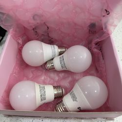 LIGHTBULBS 
