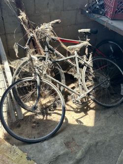 Fiji bikes
