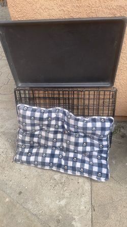 dog cage