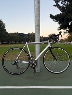 57cm Euro Road Bike – Shimano Carbon Fork