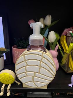 Concha soap holder