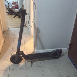 GOTRAX electric Scooter 