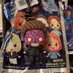 Collectable Key Chain