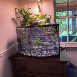 65 Gallon Fish Tank. 