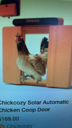 Chicken coop door, chickens, safe