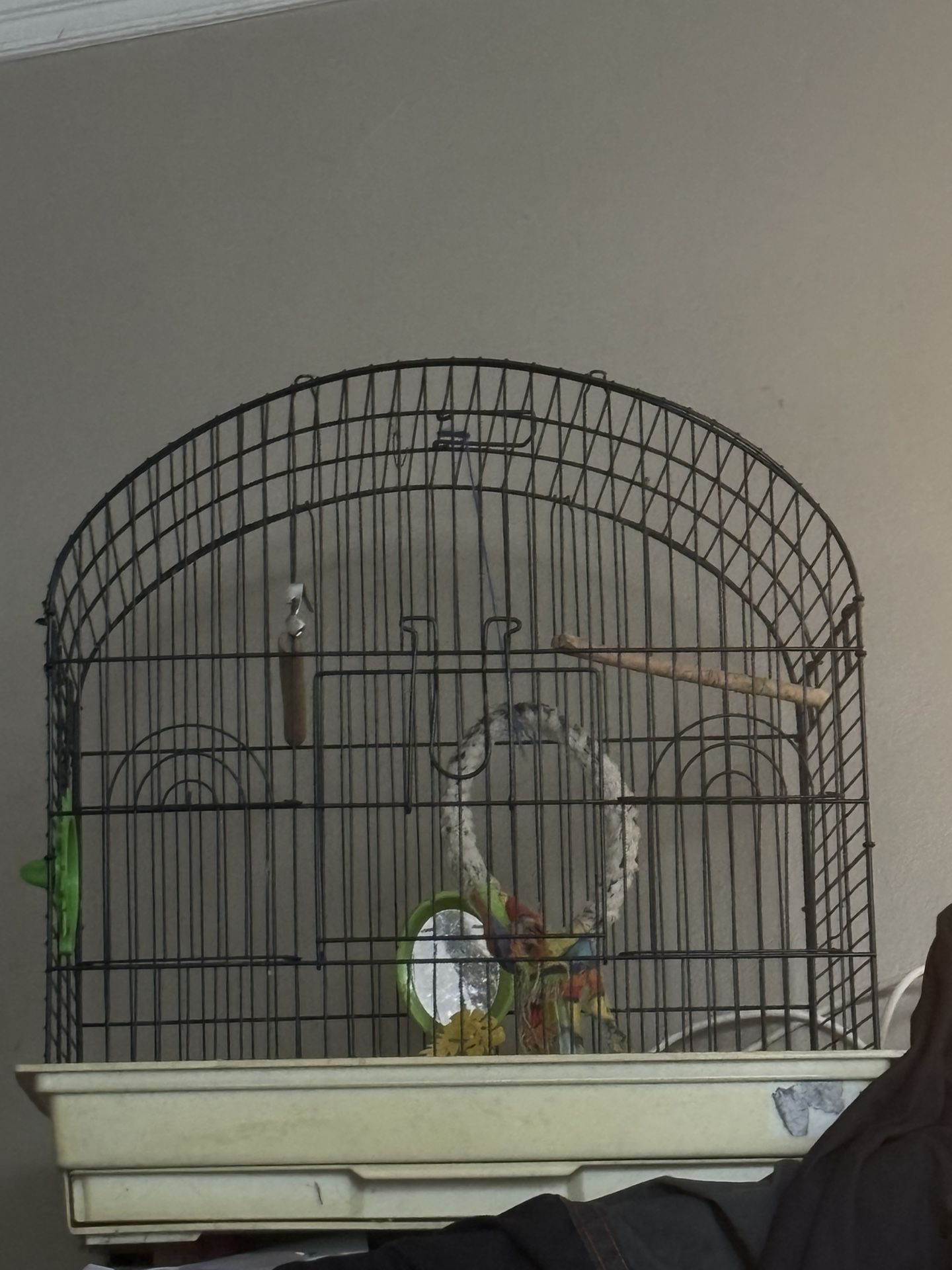 Bird Cage