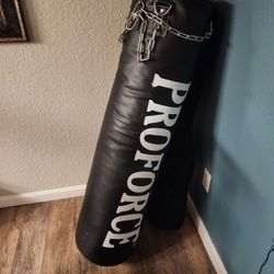 Punching Bag