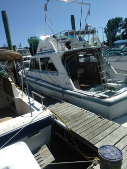 32' sport Fisher