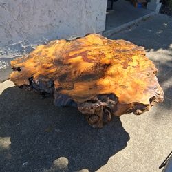 Burl coffee table