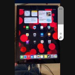 I Pad Pro 256gb 12.9 “ Flawless