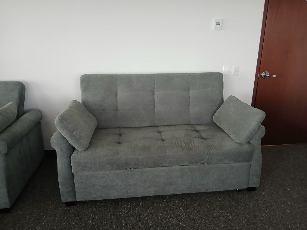 2 Queen Convertible Couches