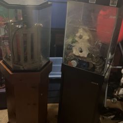 2 Fish Tanks 
