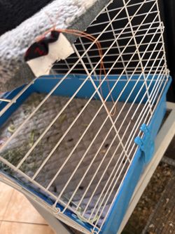 Medium size cage