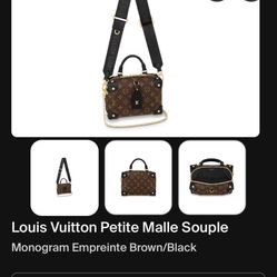 Female Louis Vuitton Purse