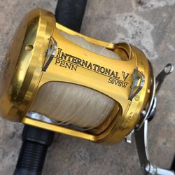 Penn International 30VISW Reel/New Lines/Custom Rod
