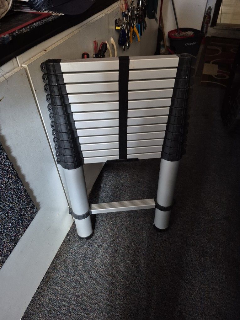 EXTENTION LADDER