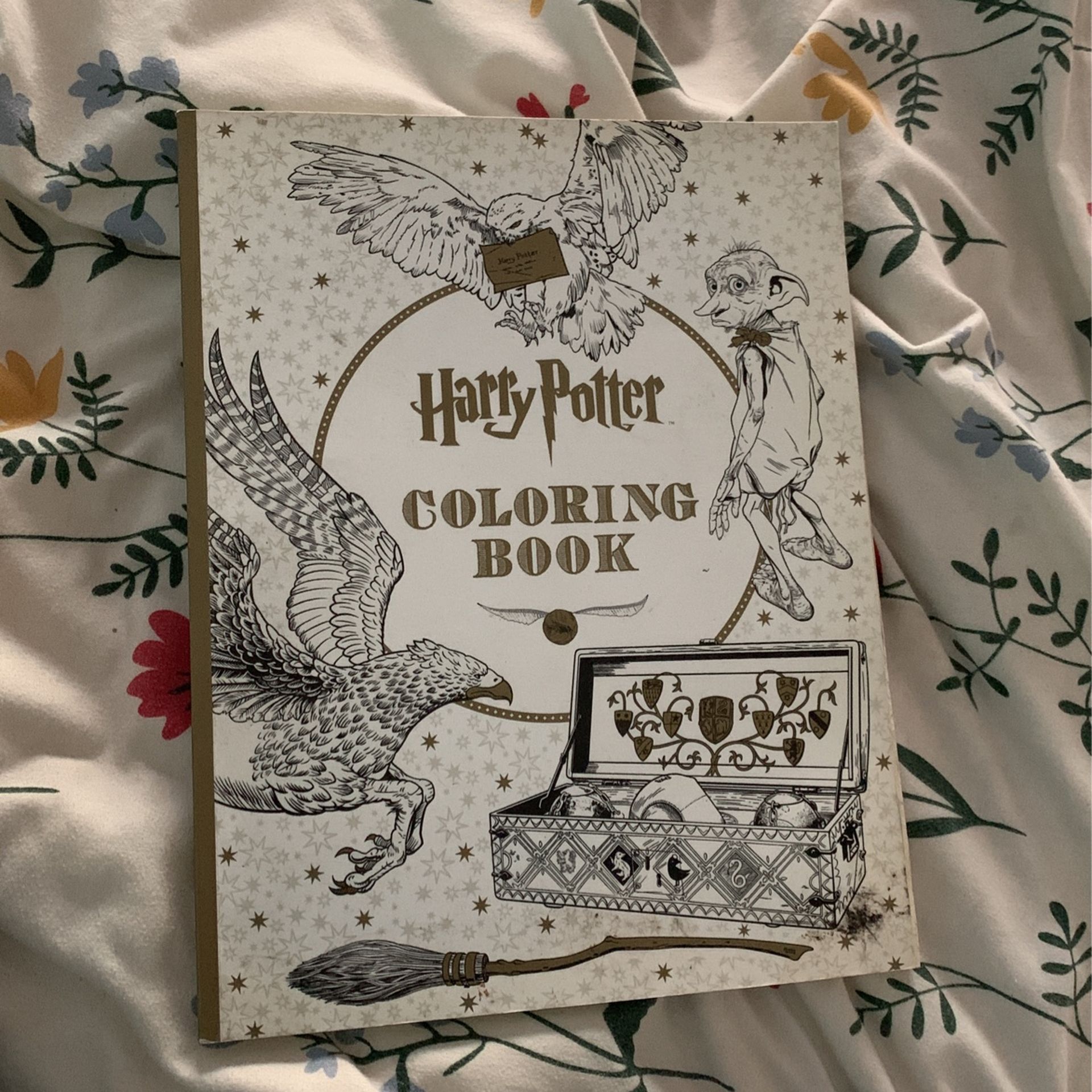 Harry Potter Coloring Book