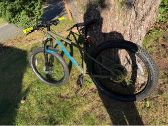 Trek roscoe 6