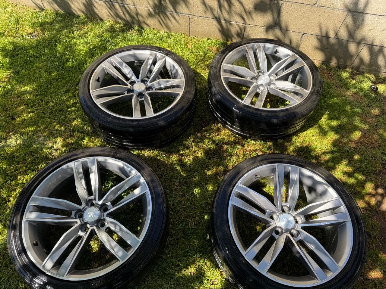 Image #1