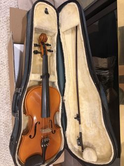 Viola