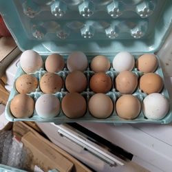 Farm Fresh Eggs