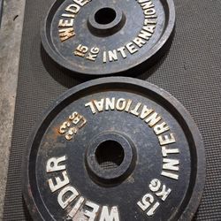 Olympic Size Weights 2x33lb $50