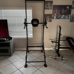 Dip Station With Pull Up