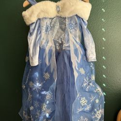 H&M Quality Elsa Costume Dress 