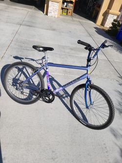7 Speed Converted Raleigh Bike