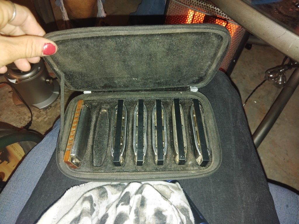 Variety Of Harmonicas