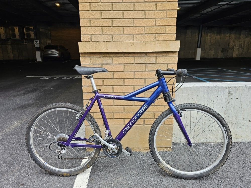 Cannondale Delta V500 Mountain Bike Medium