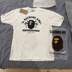 Bape Bear Brick Tee