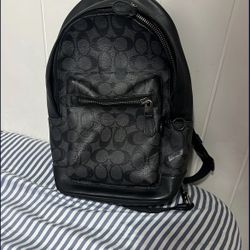 Coach Man Bag