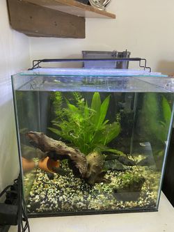 14 Gallon Cube