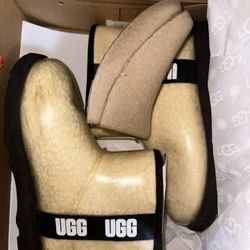 Uggs