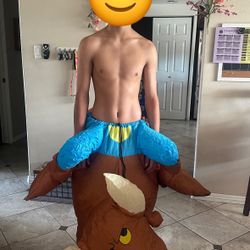 Inflatable Bull Rider