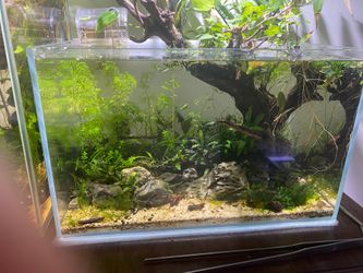 UNS 5 gallon planted Aquascape Fish Tank aquarium as pictured with filter !!!