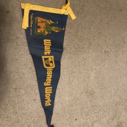 Original Walt Disney World Pennant 