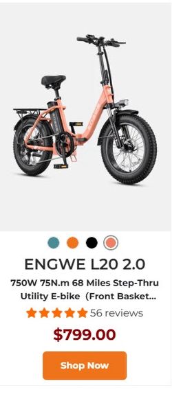 Engwe L20 2.0 Step-Thru Utility E-bike