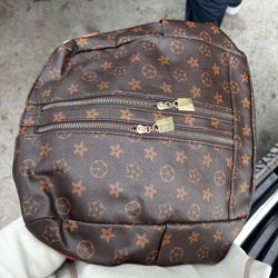 Small Backpack/Hand Bag