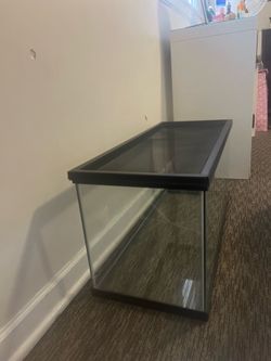 Glass Reptile Terrarium with Mesh Lid