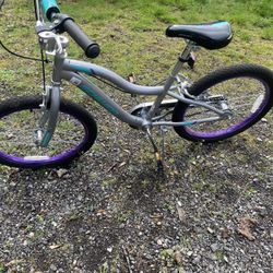 Schwinn 20” Bike