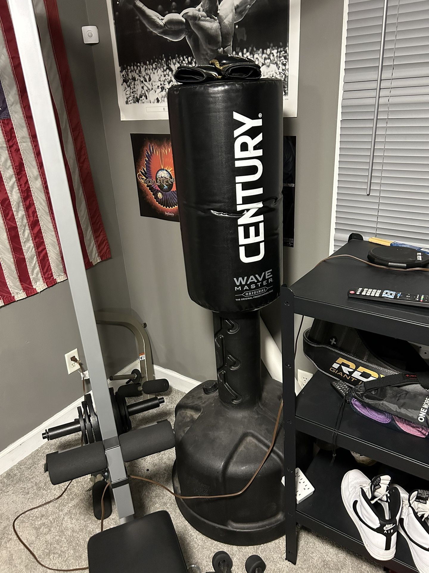 Century Punching Bag & Everlast Boxing Gloves