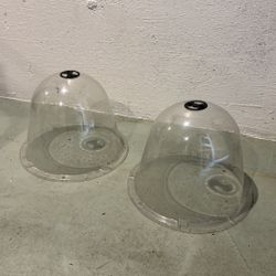 FREE Cloches For Plants