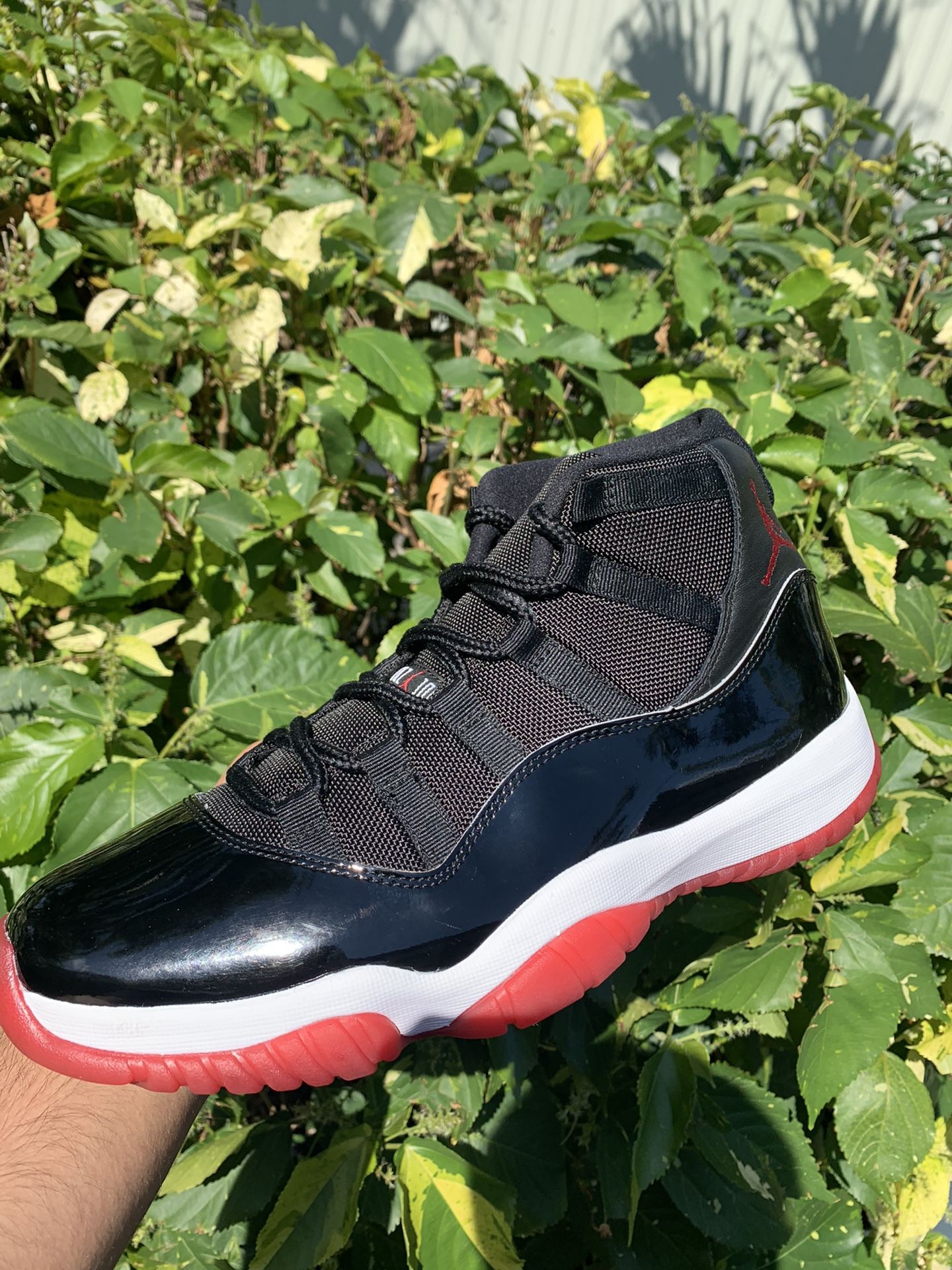 2019 Jordan Bred 11 Size 10