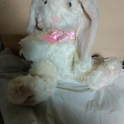 Stuffed Long Ear Bunny