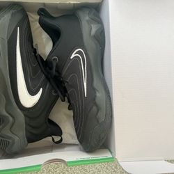 Nike Giannis 6y