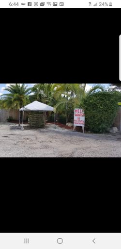 Fresh Grass Sod available