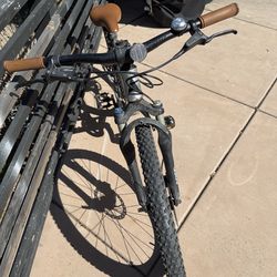 Vitus nucleus 24” MTB