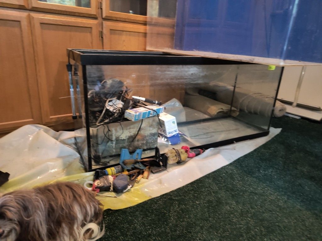 I Have 120 Gallon Fish Tank For Sale Along With Various Supplies For Saltwater